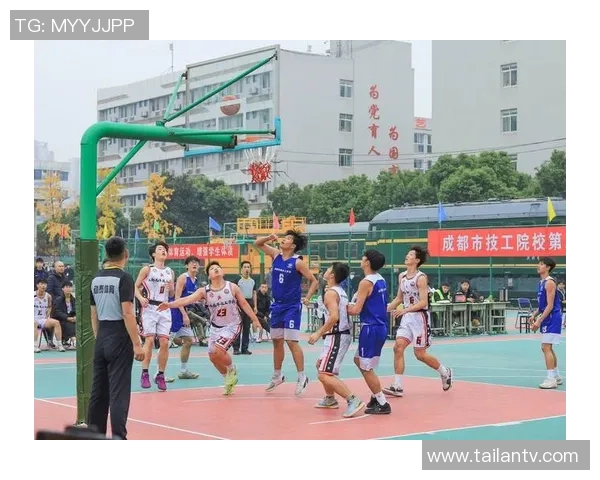 2026篮球意识排行榜：成都篮球队位居第3名